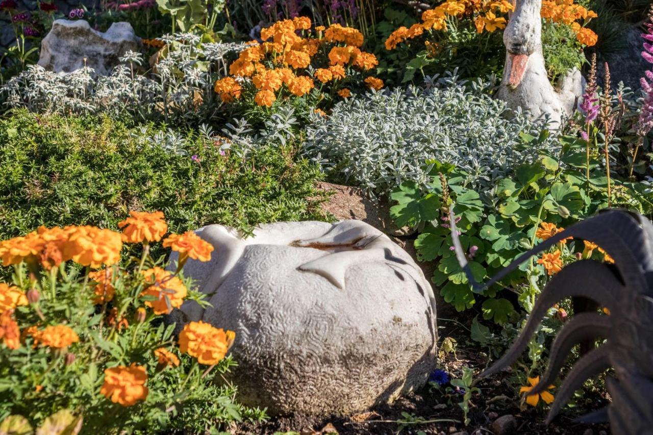 שנה Tonigbauernhof Blumenwiese מראה חיצוני תמונה