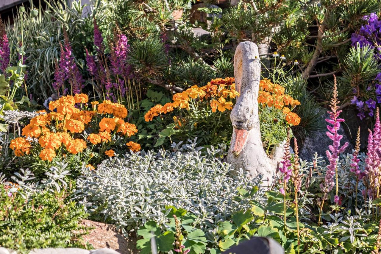 שנה Tonigbauernhof Blumenwiese מראה חיצוני תמונה